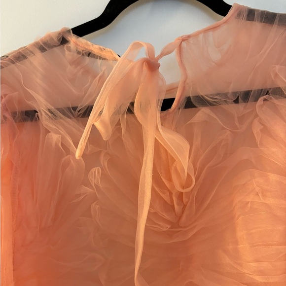 ZARA | Sheer organza cropped blouse - Picture 4 of 6